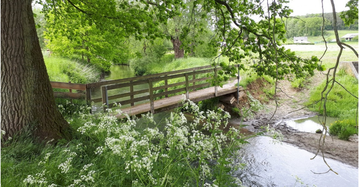 Brabantse Wouden Trail