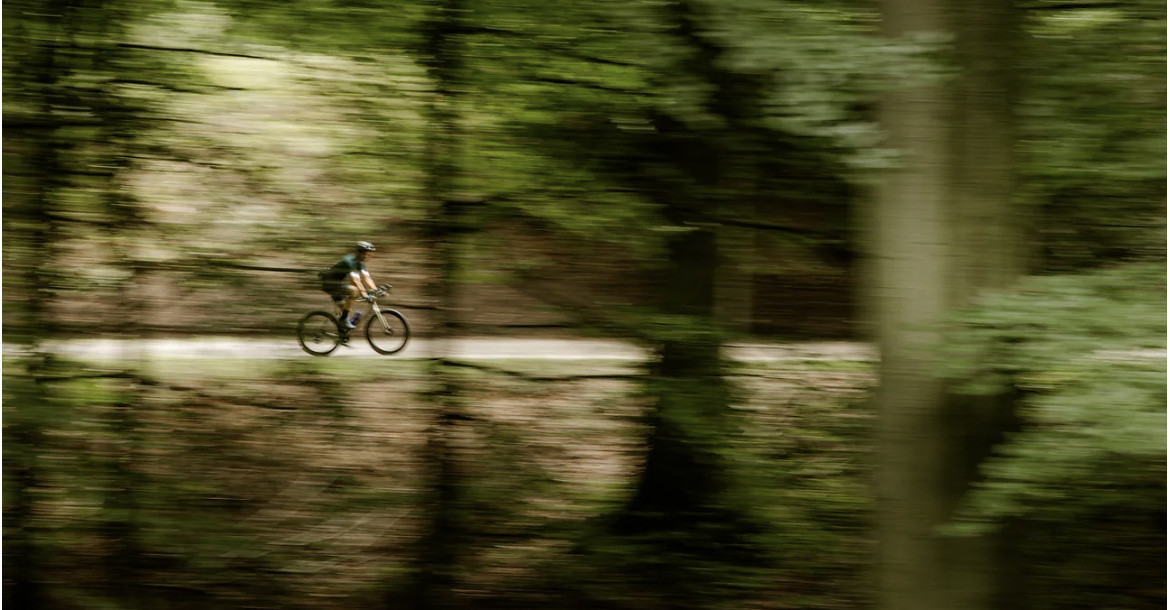 Brabantse Wouden Gravel